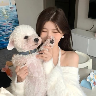 大唐歌飞