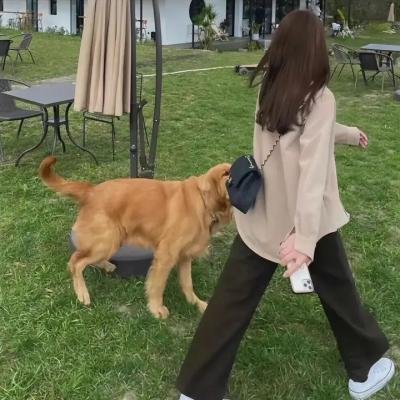 罪网