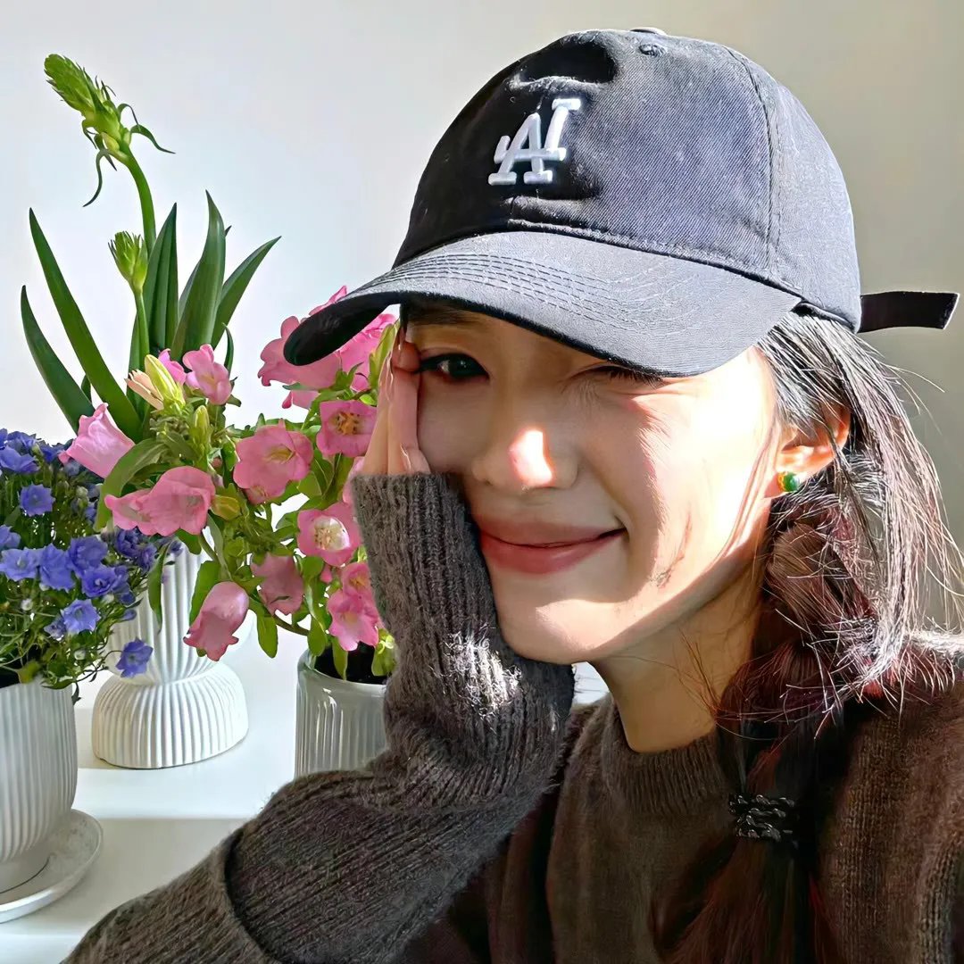 铁耙